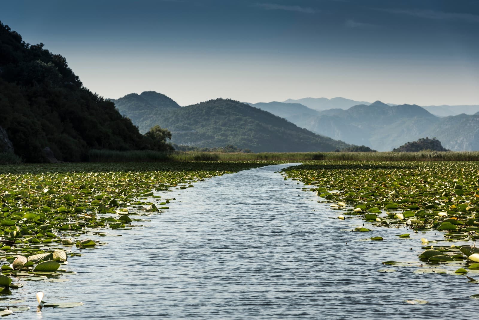 Amazon channels on Skadar Lake